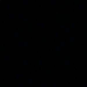 Meet your Posher, Gavin